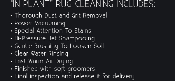 Professional Rug Cleaning Service